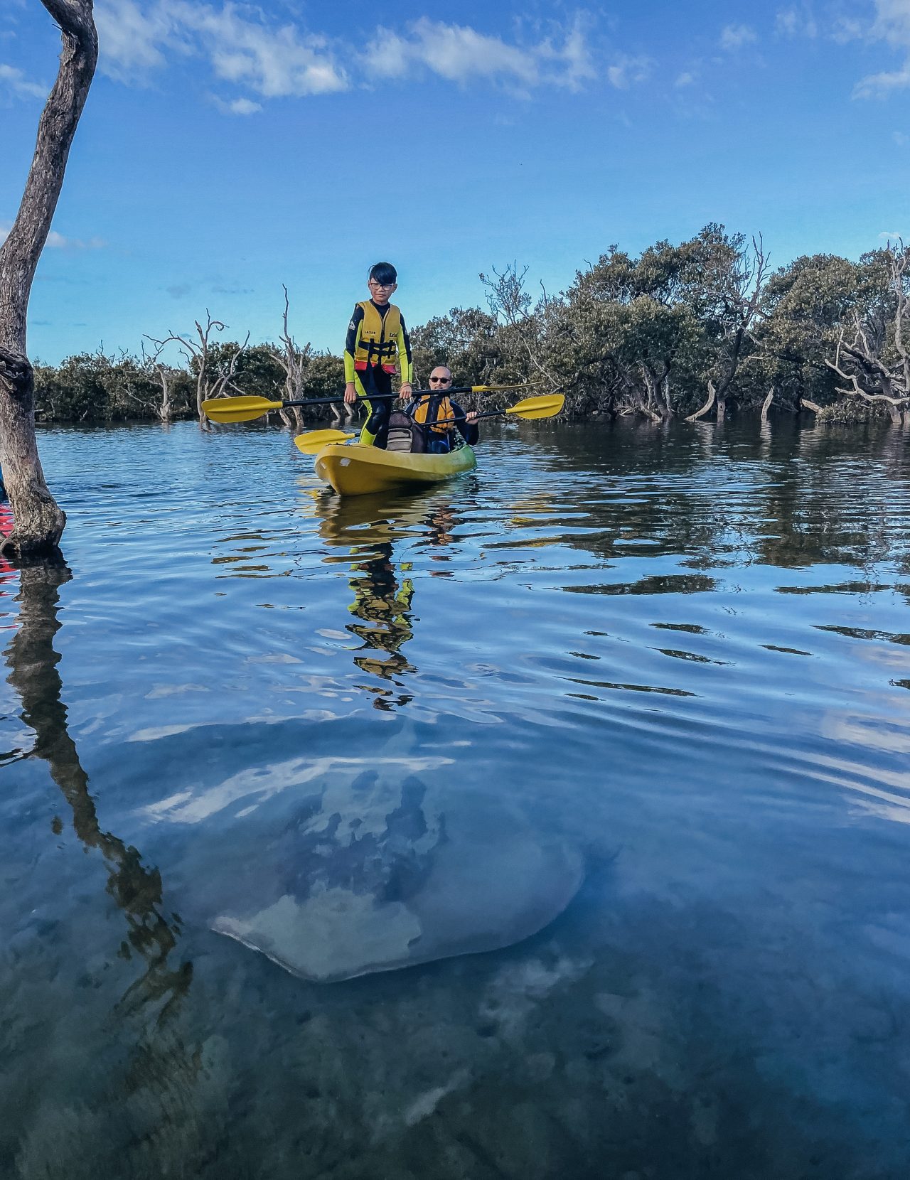 Glass Bottom Kayak Tour Region X Unspoilt Experiences