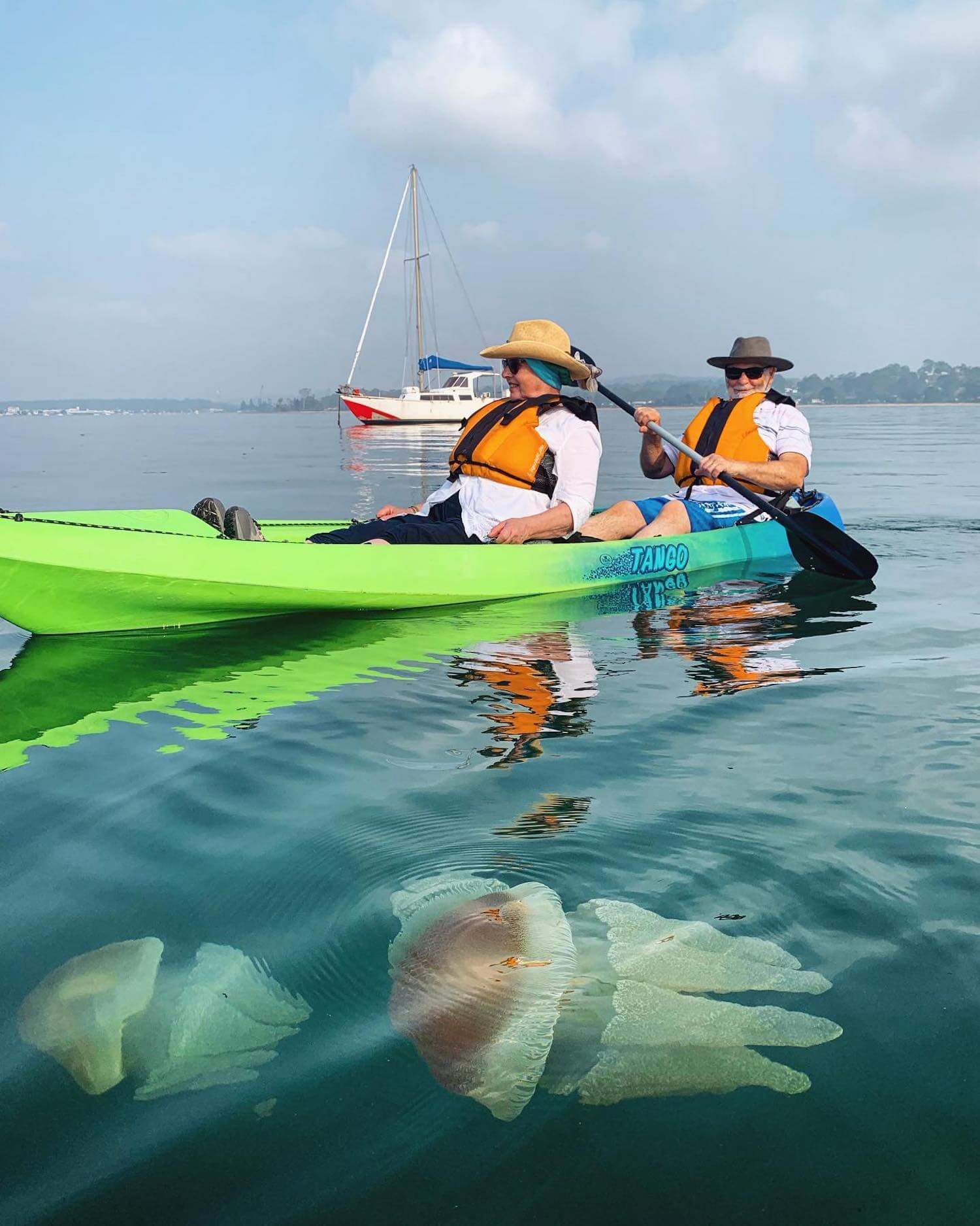 Region X Glass Bottom Kayak Tour, Batemans Bay Family Activity