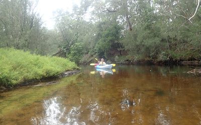 Congo Creek Paddle