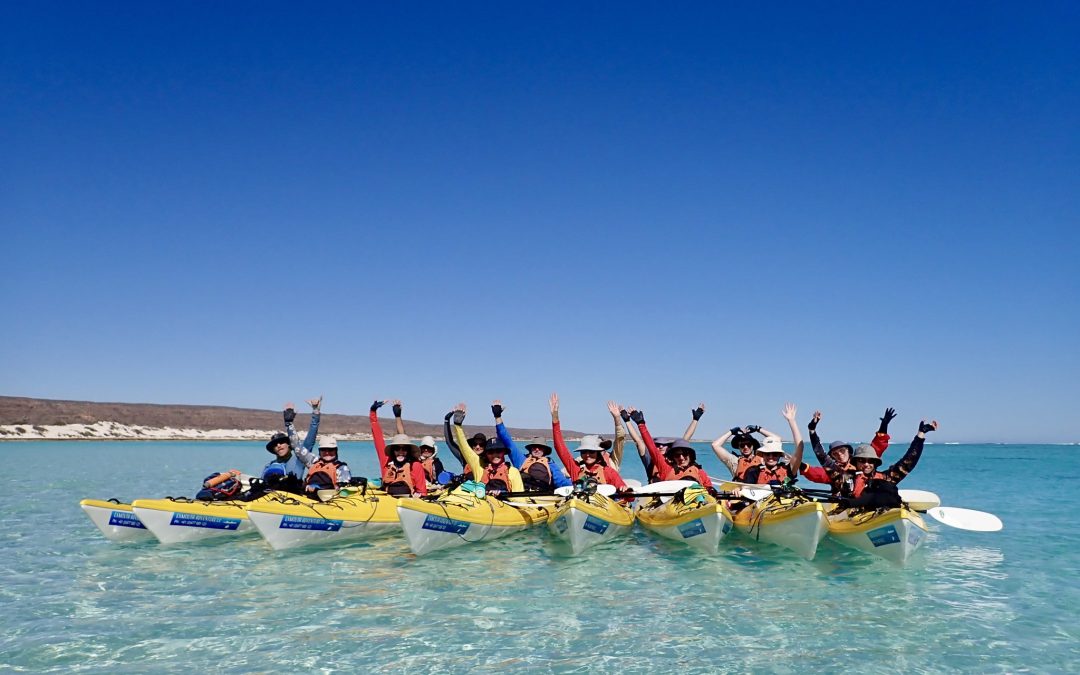 What It’s Like To Kayak Ningaloo – From Someone Who Went!