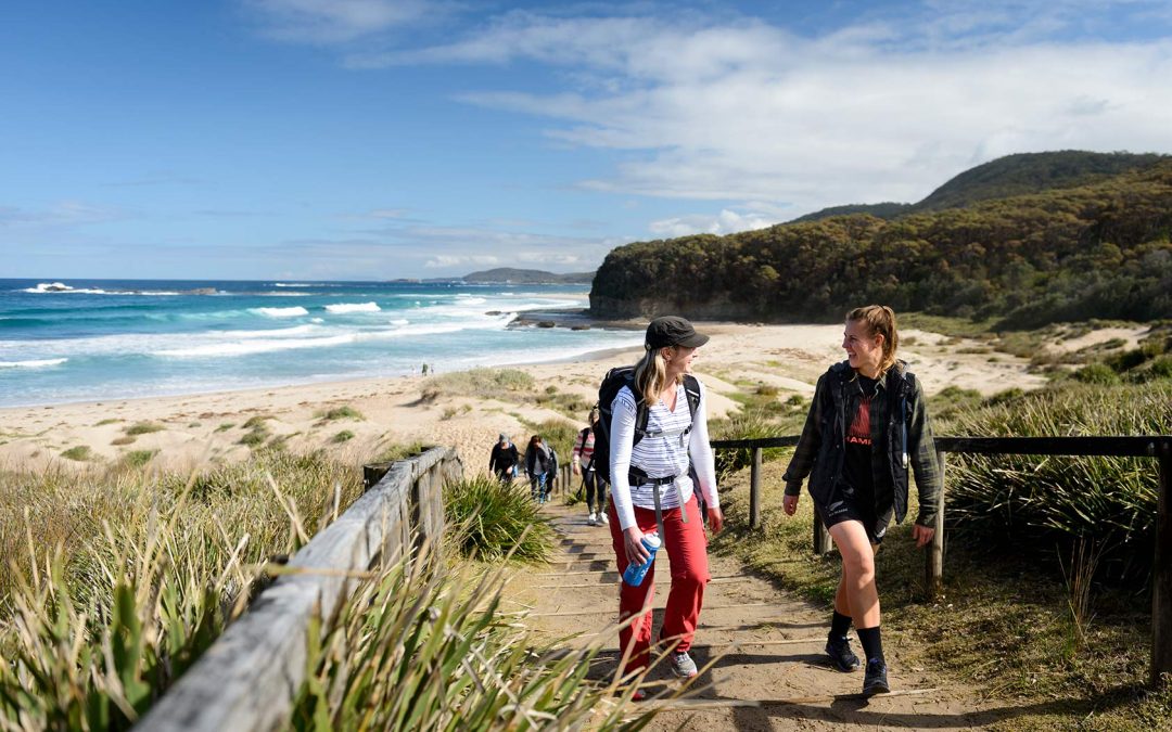 Top 10 Adventures to try on the NSW South Coast this Spring!