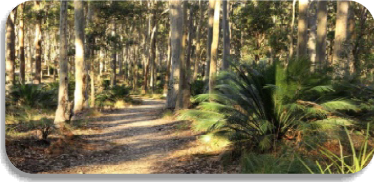 The Bower at Broulee forest accommodation