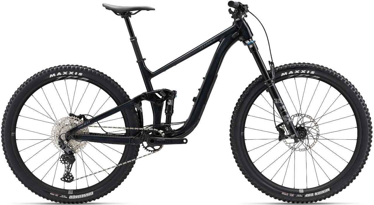 Ride Mogo e-bike on the Mogo Trails
