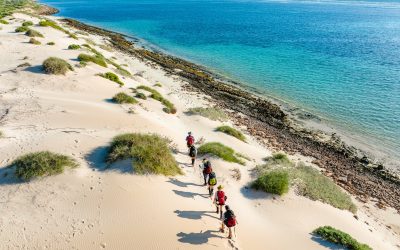 Ningaloo Odyssey: Hike the Range, Paddle the Reef
