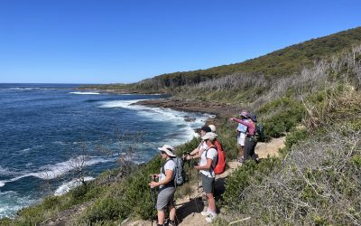 Top 10 Autumn Adventures to try on the NSW South Coast this year!