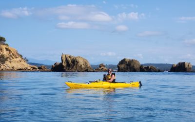 At 64, Lisa Found Her Way Back to the Sea
